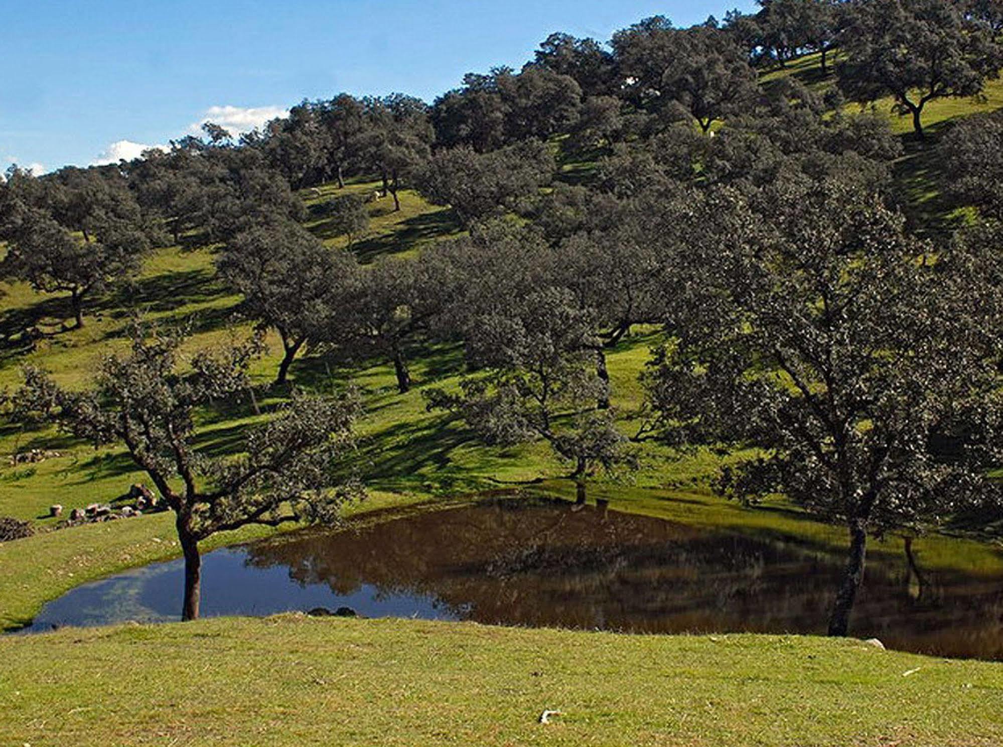 Hospederia Reina De Los Angeles Aracena Dış mekan fotoğraf